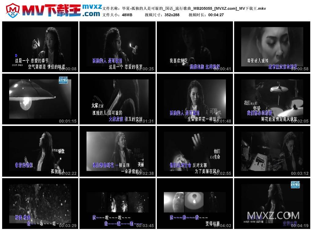 毕夏-孤独的人是可耻的_国语_流行歌曲_MB205055